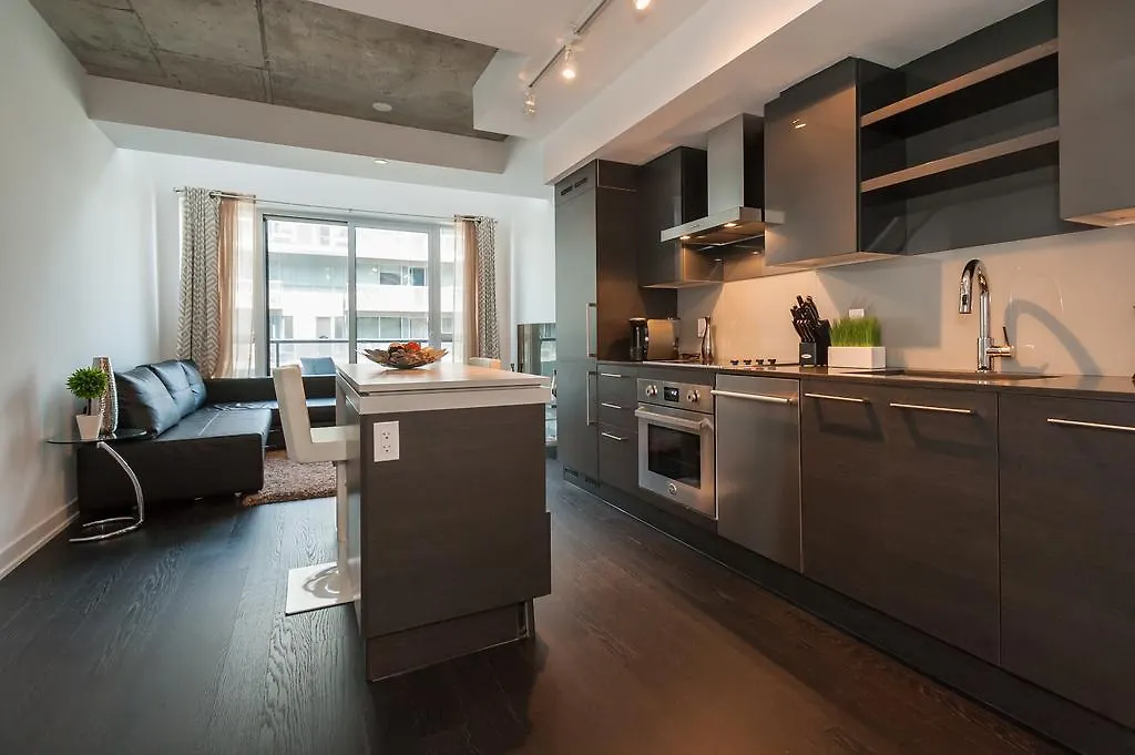 Lifesuites King West Loft Toronto Apartment